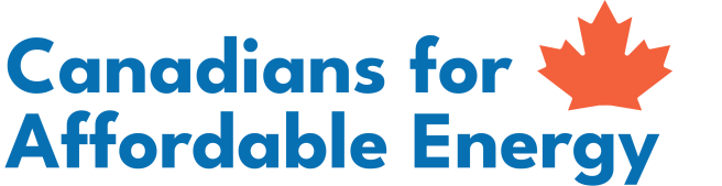 CAE Logo