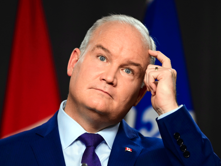 Erin O’Toole must fight Liberal’s Net Zero bill