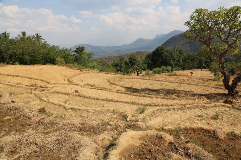 Sri Lankans break the Net Zero suicide pact