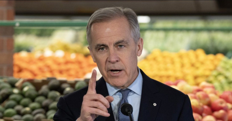 WATCH: Carney’s grocery rebate misses the real problem