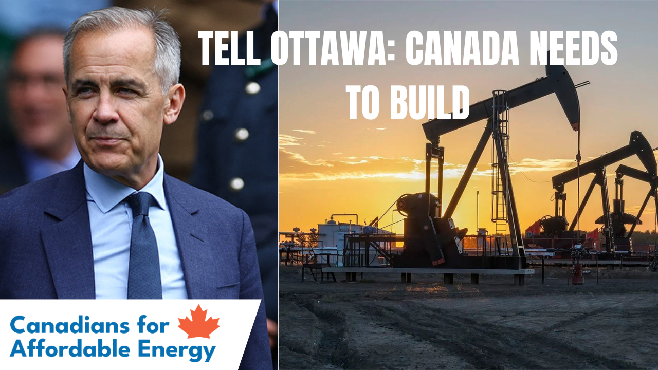 Tell Ottawa: Canada Needs to Build — Stop Caving to Radical Environmentalists
