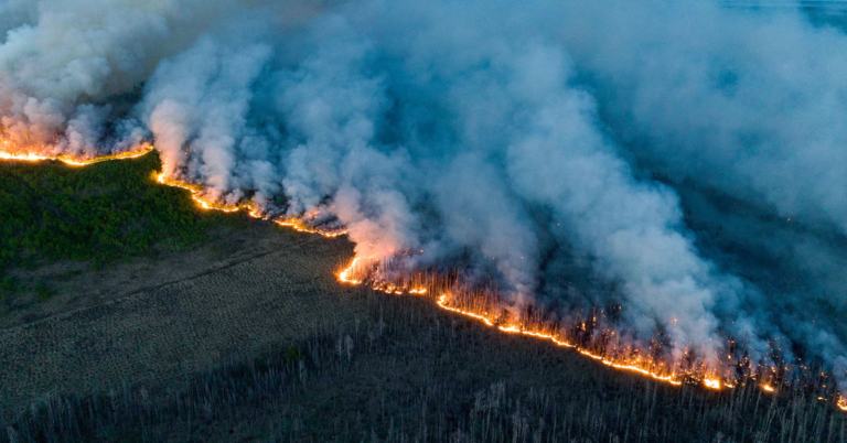 WATCH: Reality Check: Climate did not cause Canada’s forest fires
